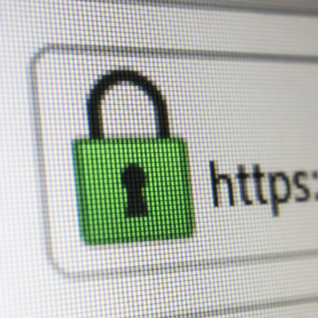 Close up of a padlock icon on a computer screen representing secure e-commerce transactions