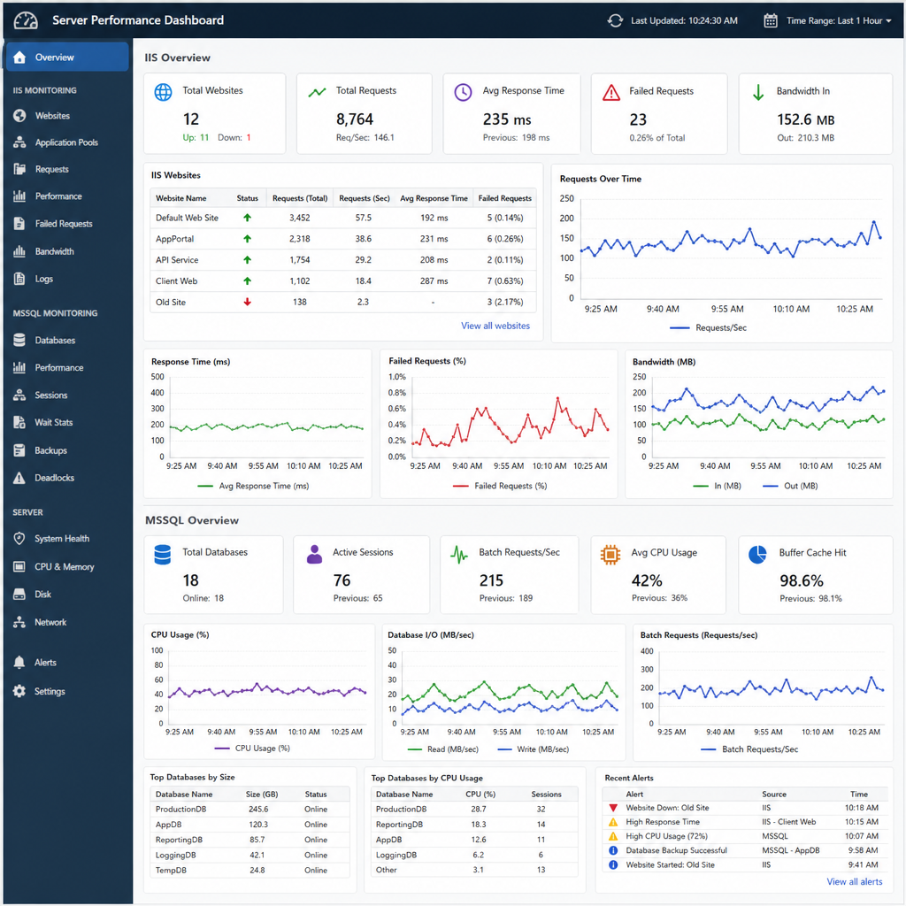 Dashboard showing multiple IIS website metrics and MSSQL database performance